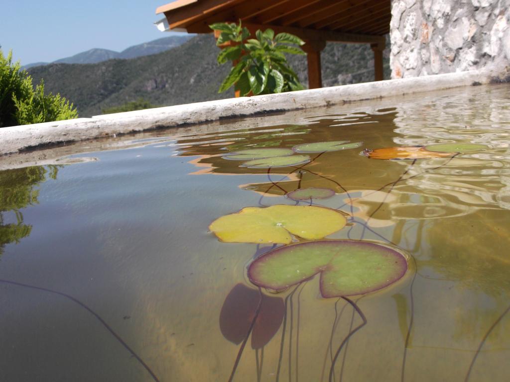Sivros Stone Cottages ภายนอก รูปภาพ